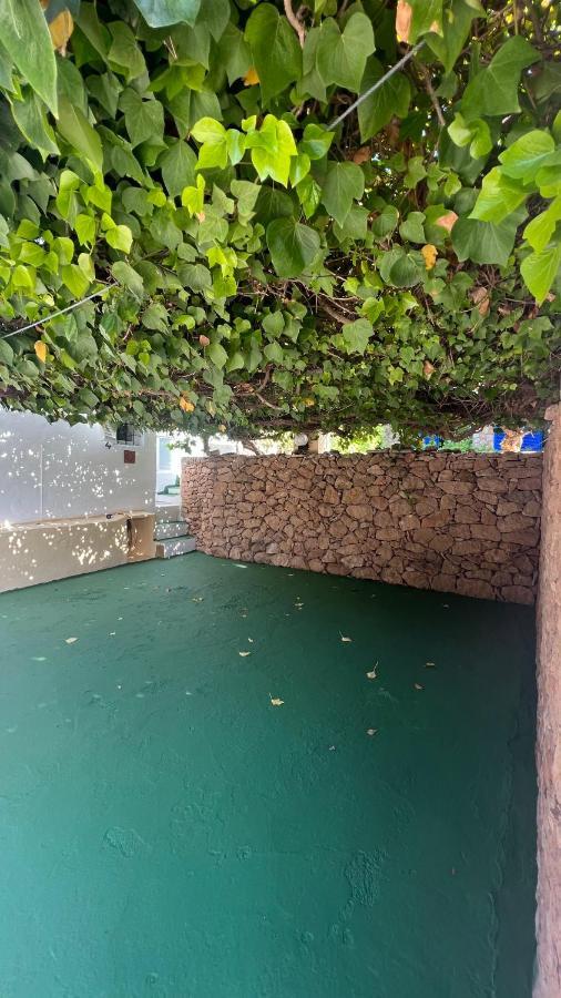 Apartamentos Mayans Sant Ferran de Ses Roques Zewnętrze zdjęcie